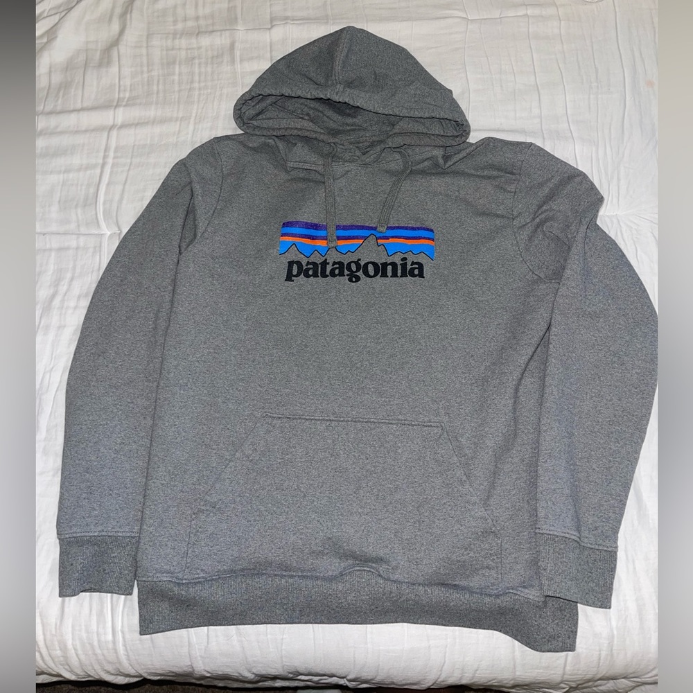 Patagonia hoodie